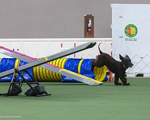 20240520-AG-0002.jpg