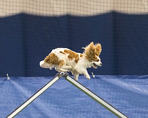 20150321-LEAP-1600.jpg