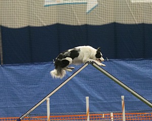 20150321-LEAP-0556.jpg