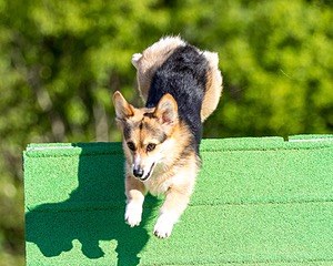 20160619-CCKC-0022.jpg