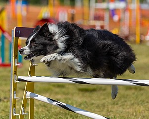 20180617-1657.jpg