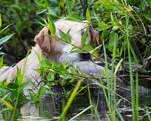 20130713-MHB2-0029.jpg