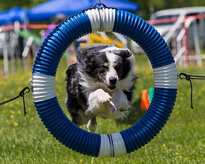 20170520-NEAT-1434.jpg