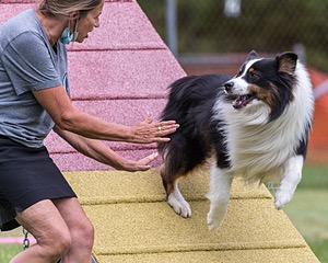 20200819-1980.jpg