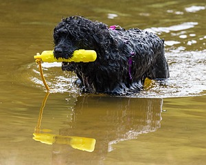 Winnie Patrice