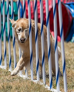 20160618-CCKC-1061.jpg
