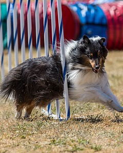 20160618-CCKC-1826.jpg