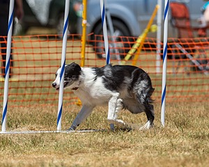 20160619-CCKC-1066.jpg