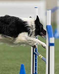 20260627-STCGNY-0944.jpg