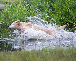 20130713-MHB2-0035.jpg