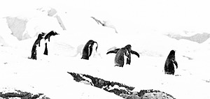 20260322-0013.jpg