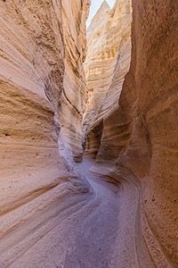 20151205-0515-HDR.jpg