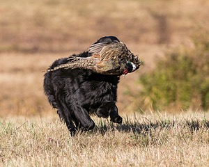 20151010-WCXL-0011.jpg