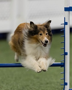 Relay Spooner