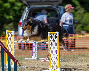 20160619-CCKC-1618.jpg