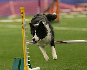 20150321-LEAP-1476.jpg