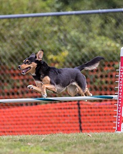 20200819-1215.jpg