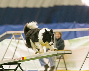 20150321-LEAP-0894.jpg