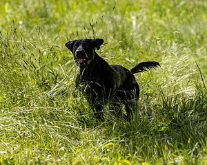 20220605-FINW-1731.jpg
