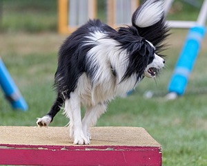 20200819-2869.jpg