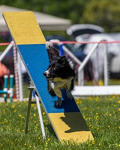 20170520-NEAT-1155.jpg