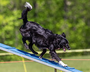 20170520-NEAT-0915.jpg