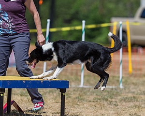 20160619-CCKC-1350.jpg