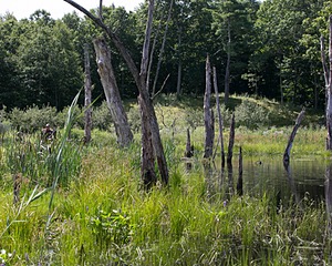 20140810-C-0057.jpg