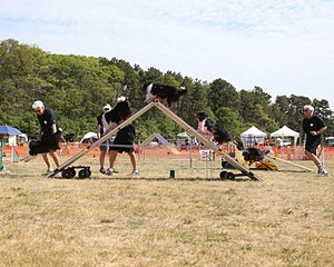 20150614-CCKCMC-0025.jpg