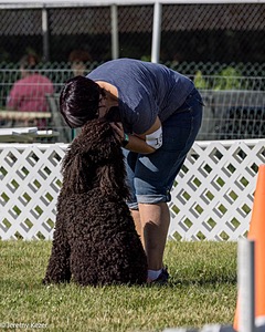 16 - GCH CH Chantico's Shelter From The Storm CD RA MX AXJ MXP2 MJP2 MJPB XF DS (Reef)