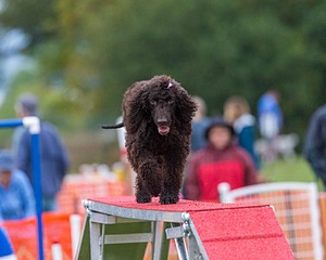 20190926-0049.jpg