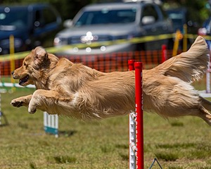 20190615-CCKC-1069.jpg