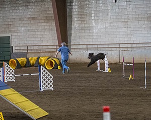 20190513-AG-0092.jpg