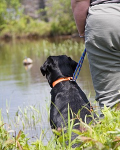 20080601-SRW-0889.jpg