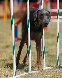 20150614-CCKC-1780.jpg