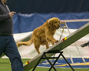 20150321-LEAP-0673.jpg