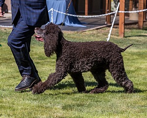20210828-SW-0209.jpg
