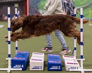Maeven Van Auken