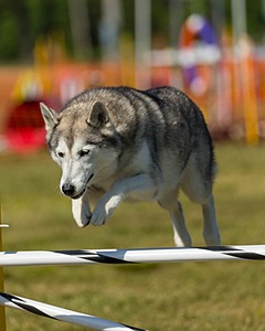 20180617-1632.jpg