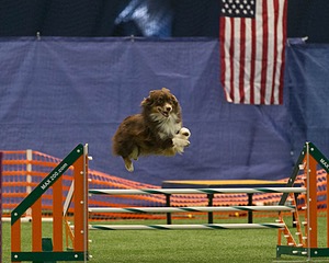 20150321-LEAP-0948.jpg