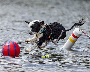 Riot Correia