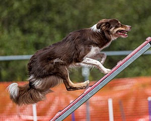 20200819-2402.jpg