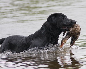 20080531-HRW-1115.jpg