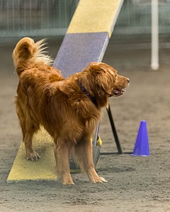 Pup-Pup Beaulieu