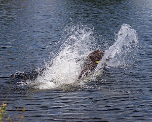 20230730-JHW-0004.jpg