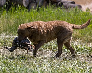 20210606-SEAL-1790.jpg