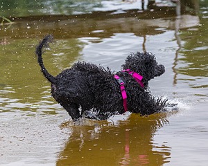 "Tango" & Cathy
