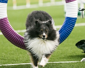 20150322-LEAP-0138.jpg