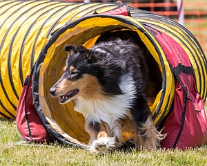 20180616-0731.jpg
