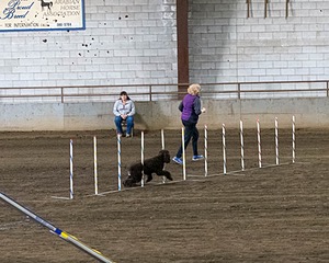 20190513-AG-0053.jpg